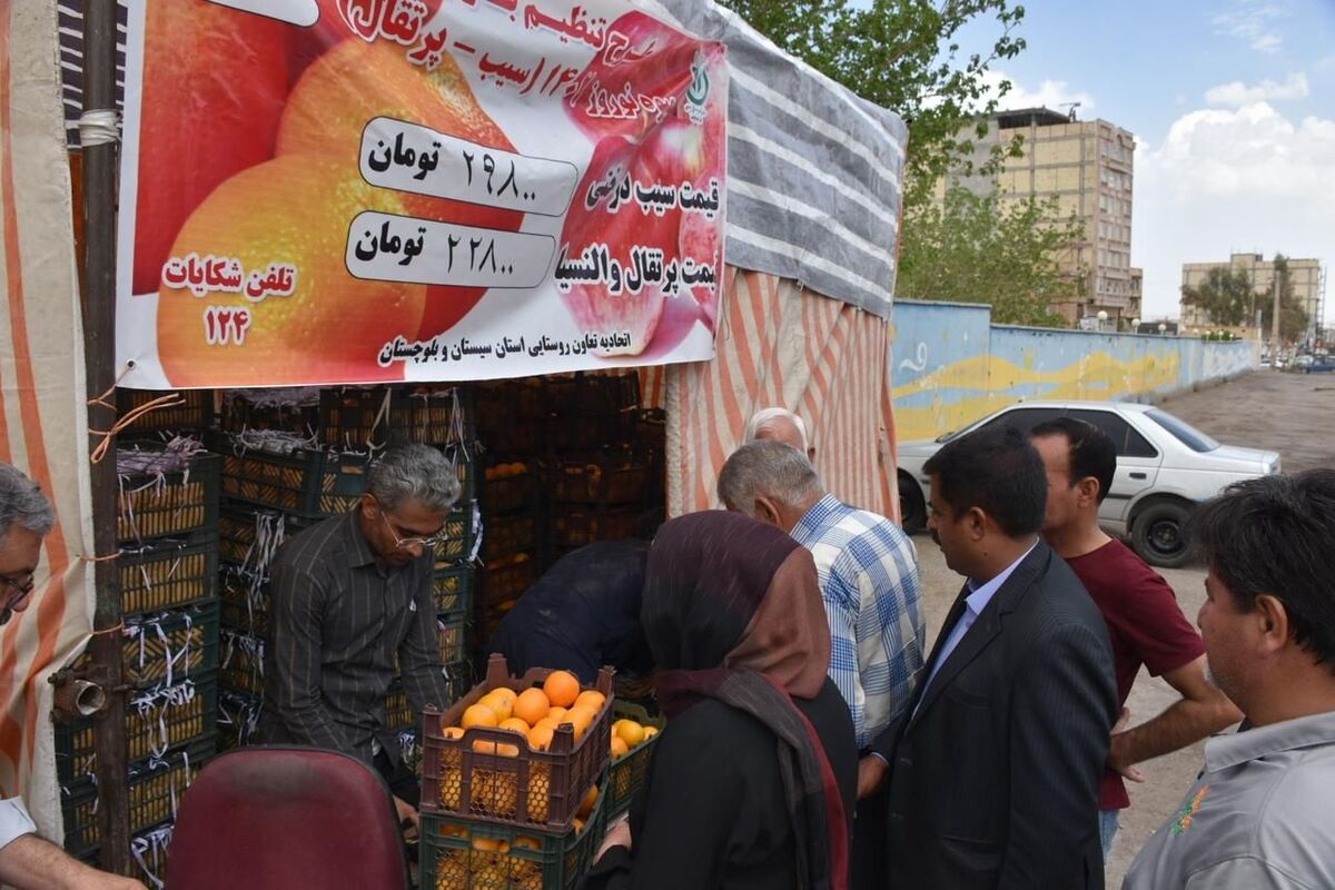 توزیع میوه