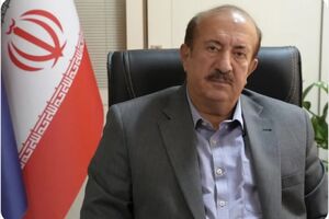 سخنگوی وزارت صمت  از تاسیس صندوق جبران خسارت خبر داد