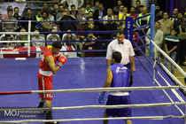 حسین ثوری به عنوان رئیس جدید  فدراسیون بوکس انتخاب شد