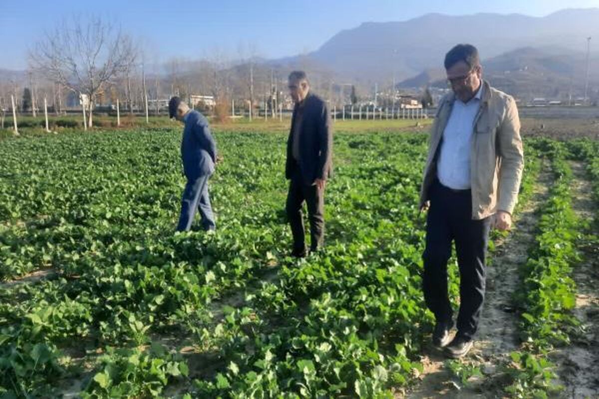 جهاد کشاورزی مازندران