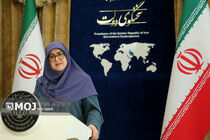 سخنگوی دولت درگذشت برادر آیت الله هاشمی رفسنجانی را تسلیت گفت