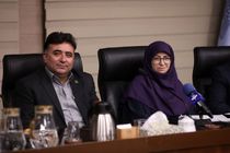 ۳۰ استان کشور درگیر فرونشست؛ هشدار رئیس سازمان حفاظت محیط زیست