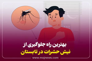 اینفوگرافیک/بهترین راه جلوگیری از نیش حشرات در تابستان