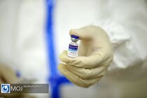 مینابی ها از واکسن برکت بسیار خوب استقبال  کردند