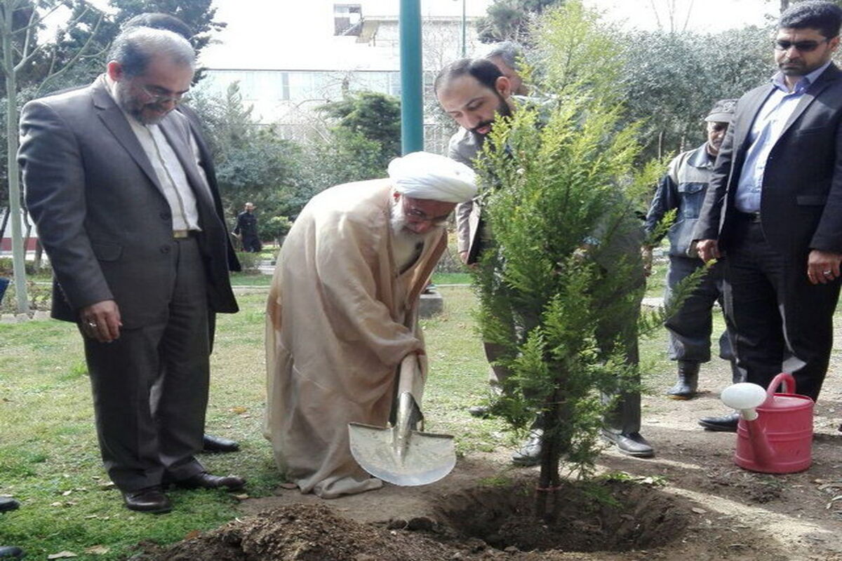 جنتی درختکاری