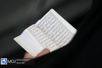 هزینه قربانی حج تمتع ۱۹۲ دلار یا پنج میلیون و ۹۰۰ هزار تومان  است