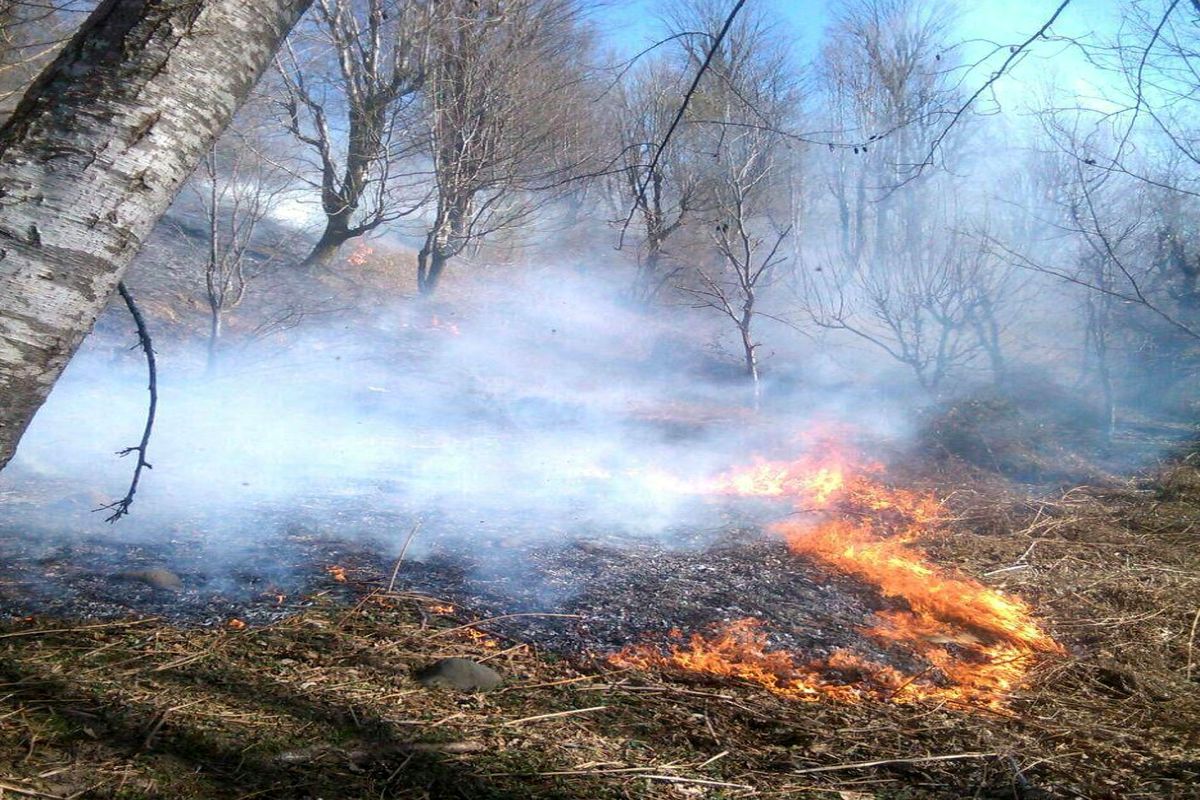 اتش سوزی در جنگل های گیلان