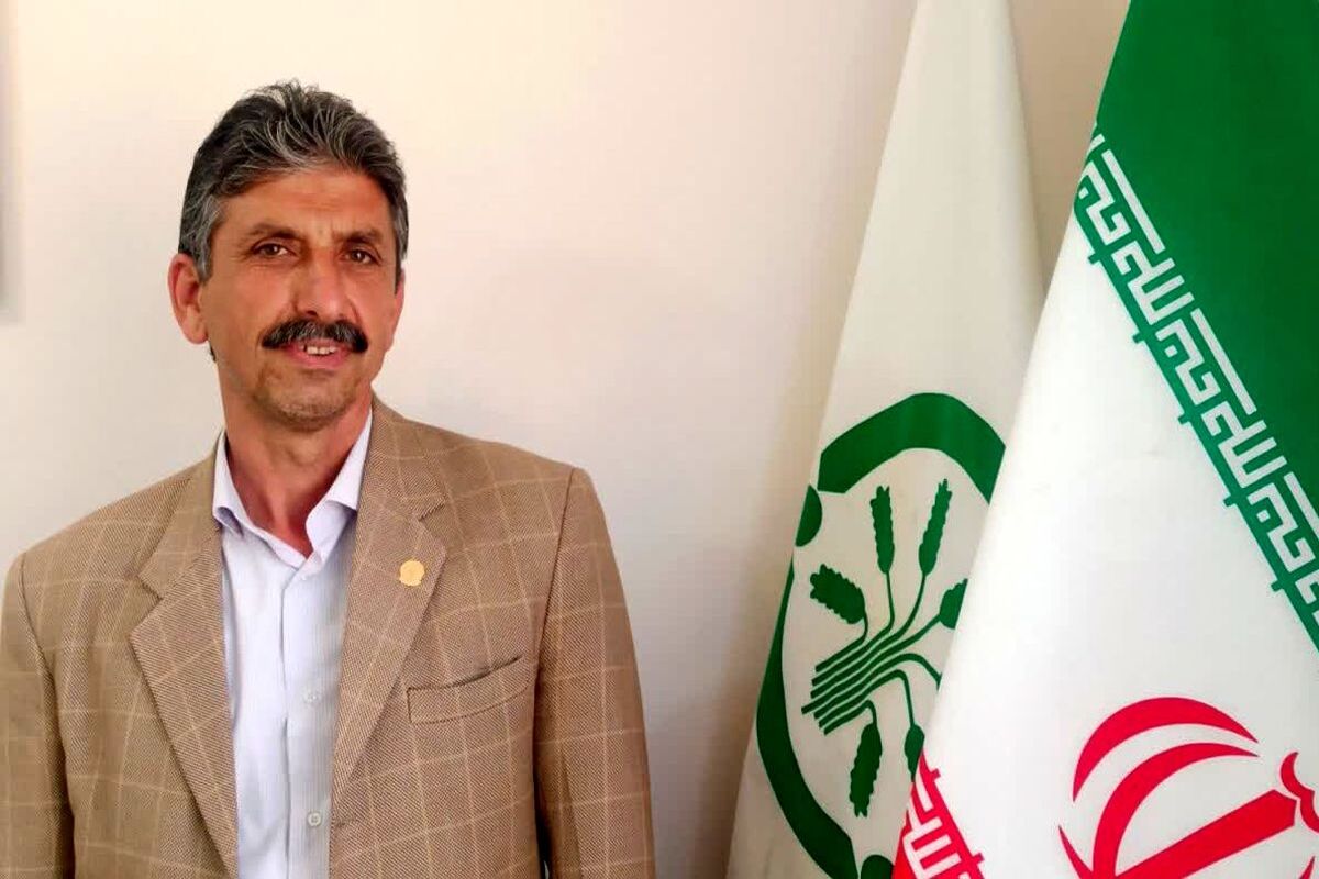 بیگی