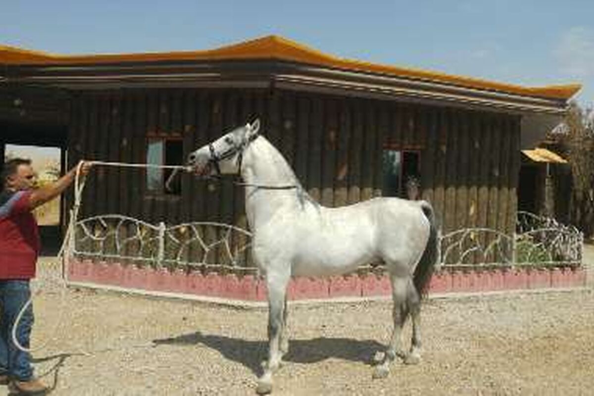 Kws7mplVCKM9
