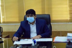 تولید گندم در ایلام سه برابر نیاز مصرف استان است