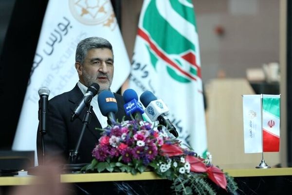 حسابداران در رونق بازار سرمایه نقش کلیدی دارند