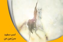 اسب سفید سرزمین من از شبکه مستند پخش می شود