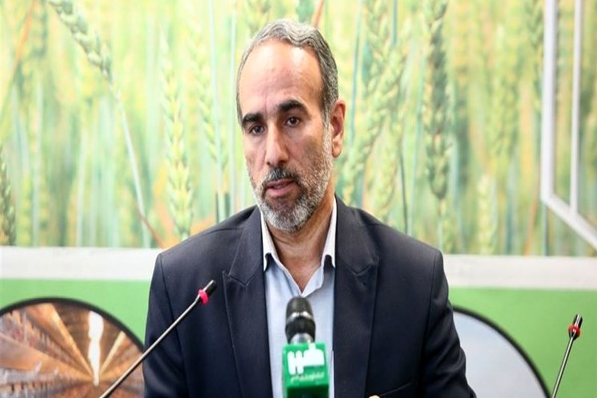 حاجی رضا