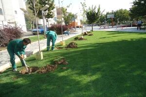 لزوم فرهنگ سازی و مشارکت مردم در راستای توسعه فضای سبز شهری 