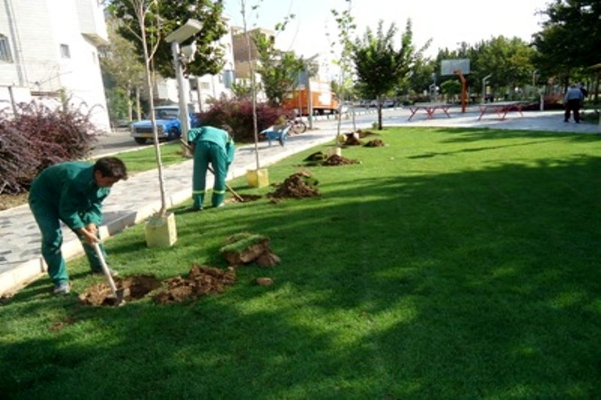 فضای+سبز+شهری