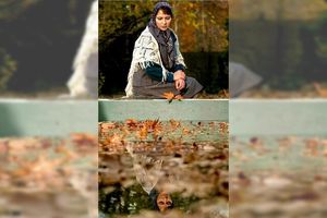 حضور پروین اعتصامی در جشنواره فیلم فجر امسال