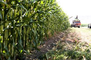 توانمندسازی کشاورزان و دامدارن در راستای تحقق اقتصاد مقاومتی