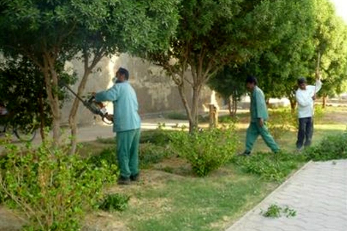 هرس درختان