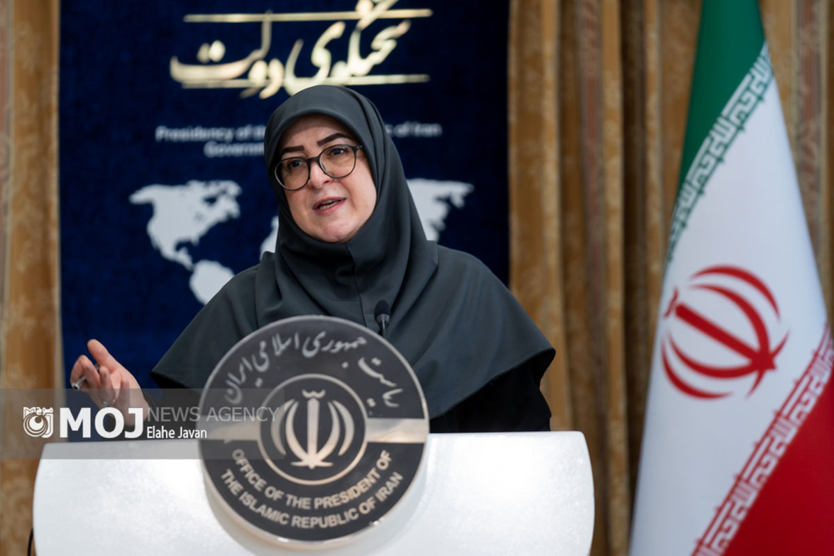 فاطمه مهاجرانی + سخنگوی دولت