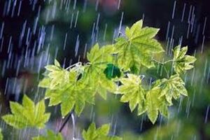 بارش ۹ استان در ۱۰ ماه گذشته کمتر از سال آبی پیشین است