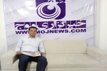 ضرورت ایجاد کمیته ساماندهی سگ های ولگرد به ریاست فرماندار بندرعباس