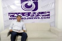 ضرورت ایجاد کمیته ساماندهی سگ های ولگرد به ریاست فرماندار بندرعباس